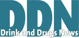 DDN Logo
