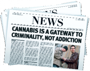 media savvy paper