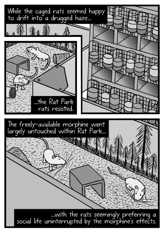 Rat Park