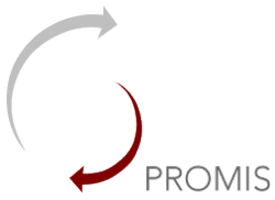 Promis drug and alcohol treatment