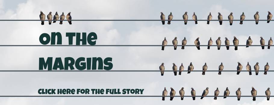 birds on a wire