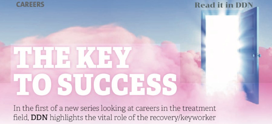 ddn careers