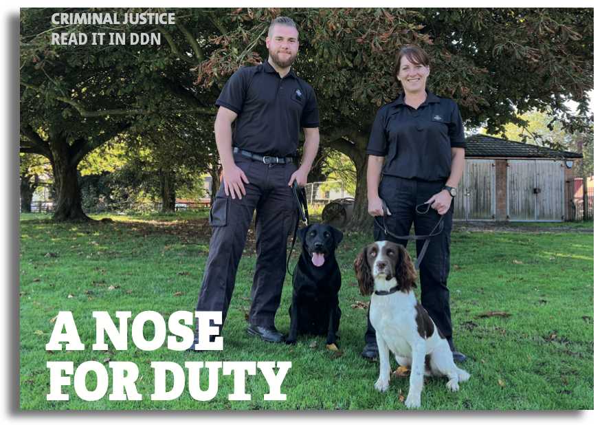 drug detection dogs