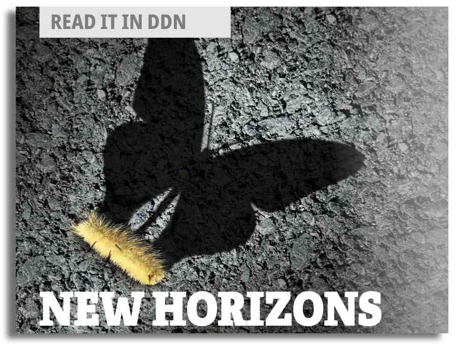 new horizons ddn feature