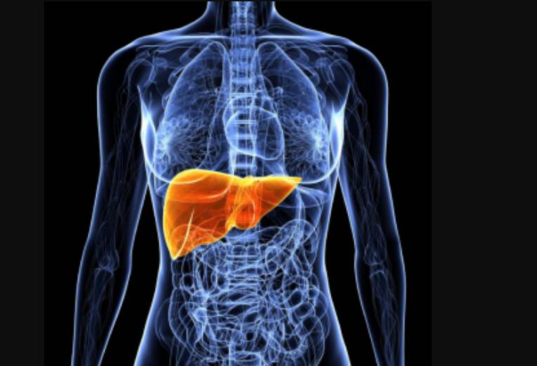 Liver disease admissions up more than a fifth in a year - Drink and ...